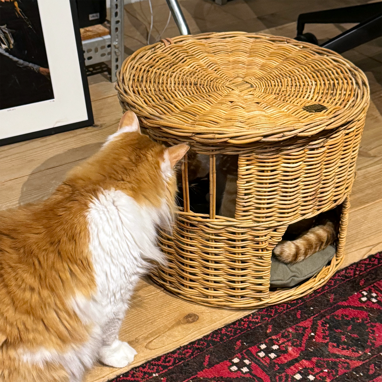 AROROG CAT HOUSE