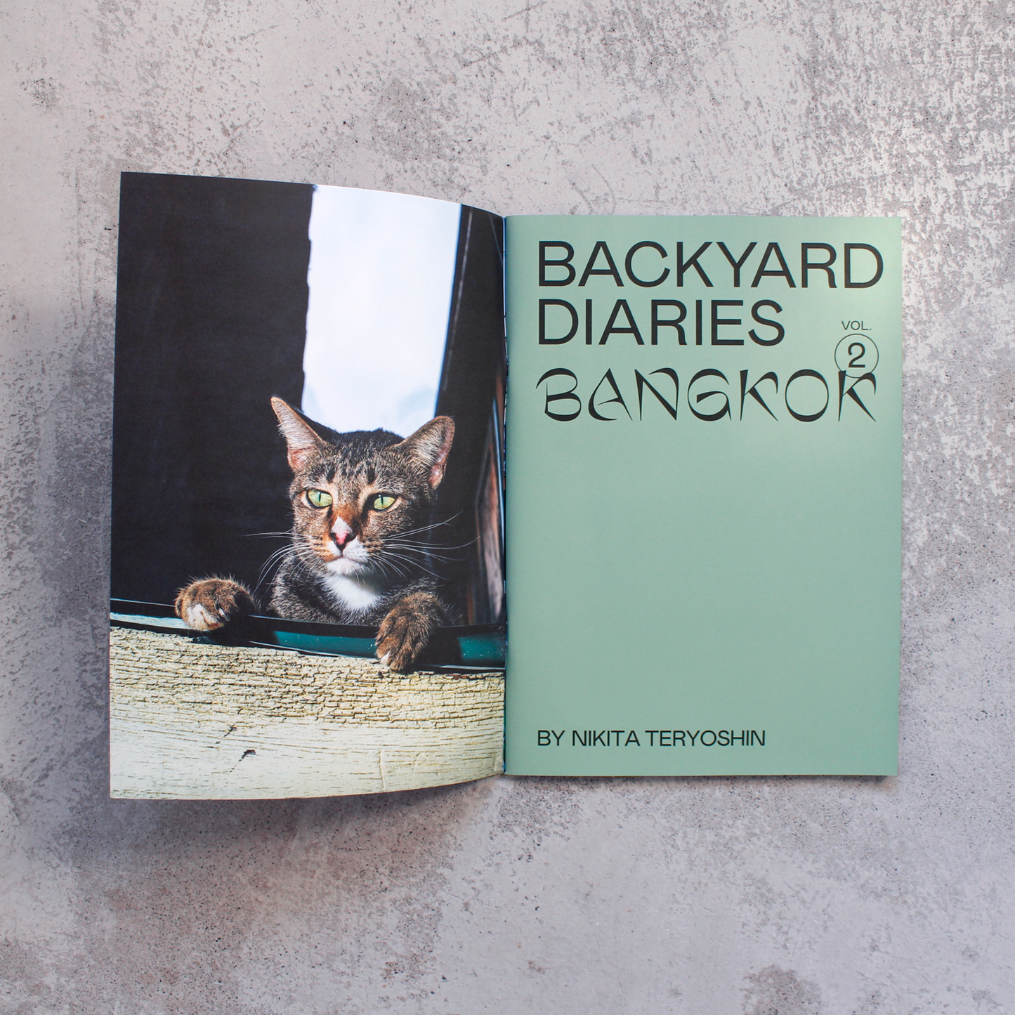 Backyard Diaries Vol. 2 - Bangkok, Black Cat Edition / Nikita Teryoshin