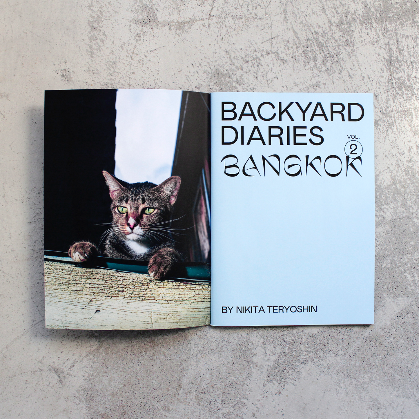 Backyard Diaries Vol. 2 - Bangkok / Nikita Teryoshin