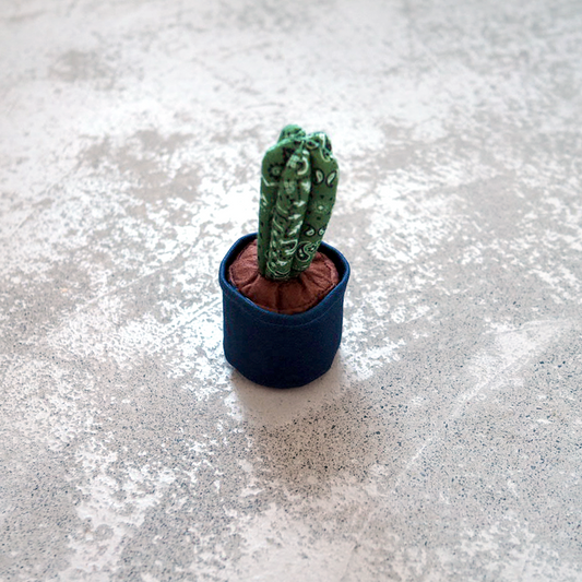 Cactus Single / Small / Green