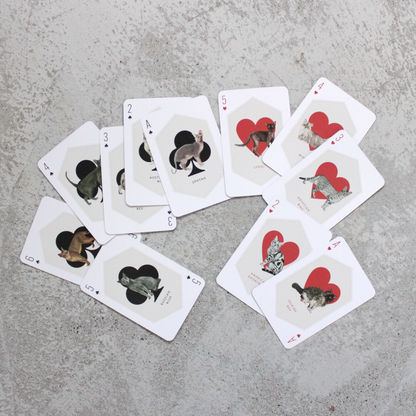 Cat and Dog Playing Cards