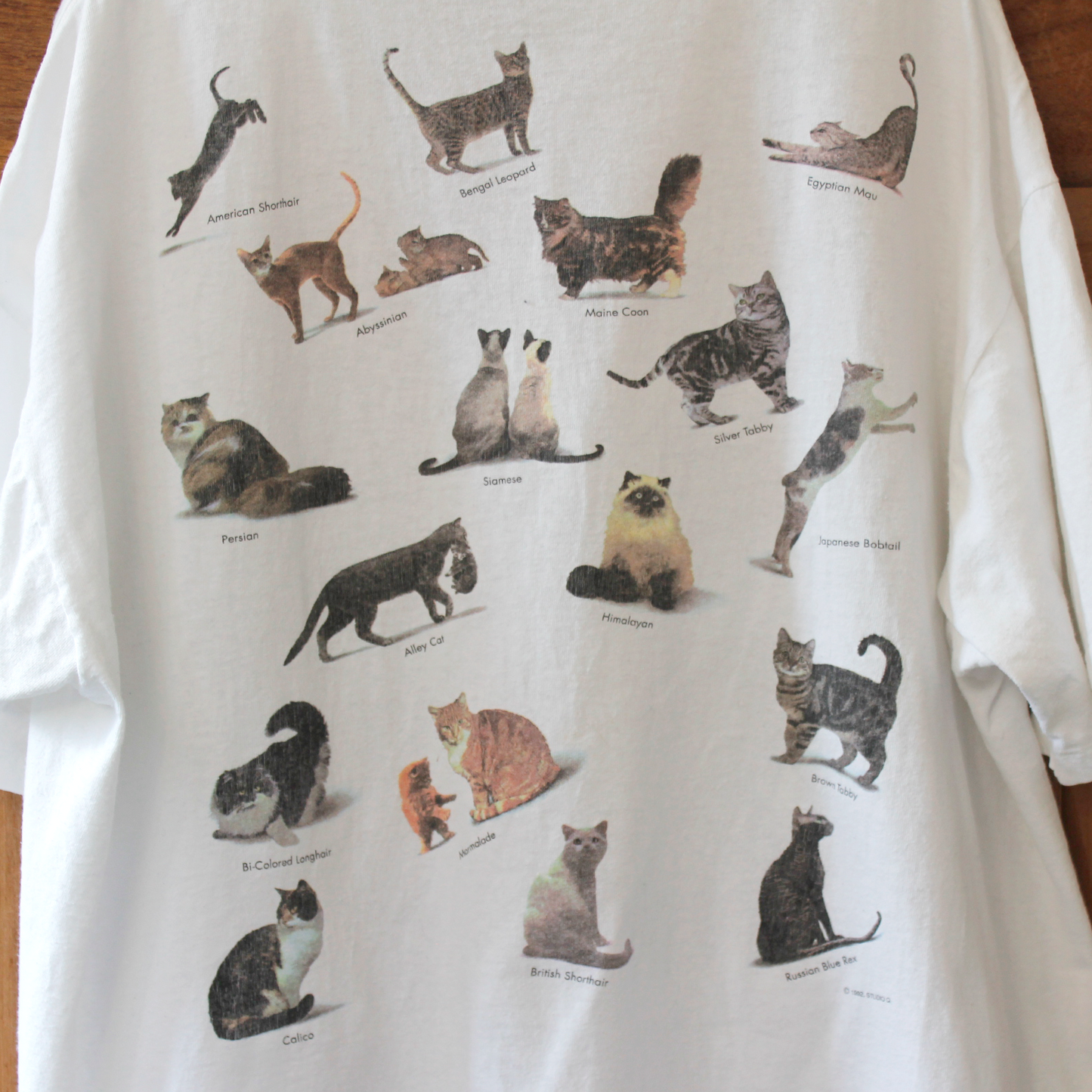 Studio Q Cat Breed Tee / 90s / Made in USA