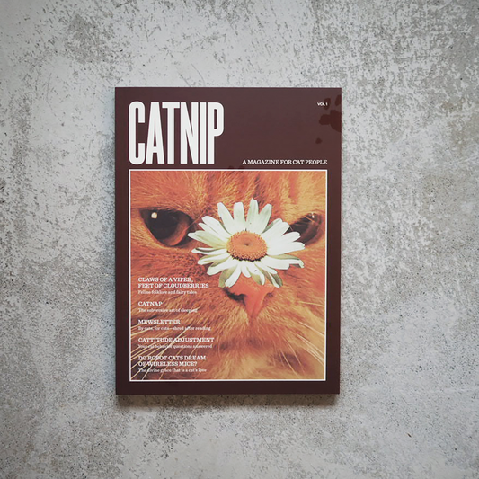 Catnip Magazine Vol 1