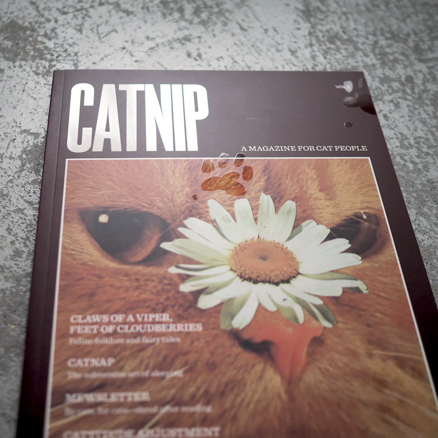 Catnip Magazine Vol 1