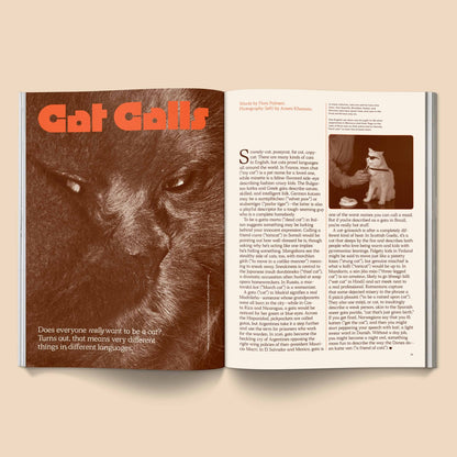 Catnip Magazine Vol.1