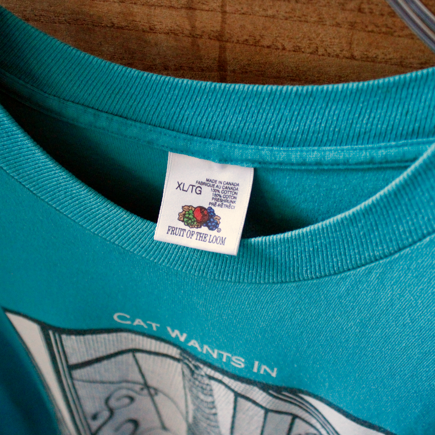 Cat Wants In, Cat Wants Out Tee / Green / 80s-90s / STUART KATT / Made in Canada