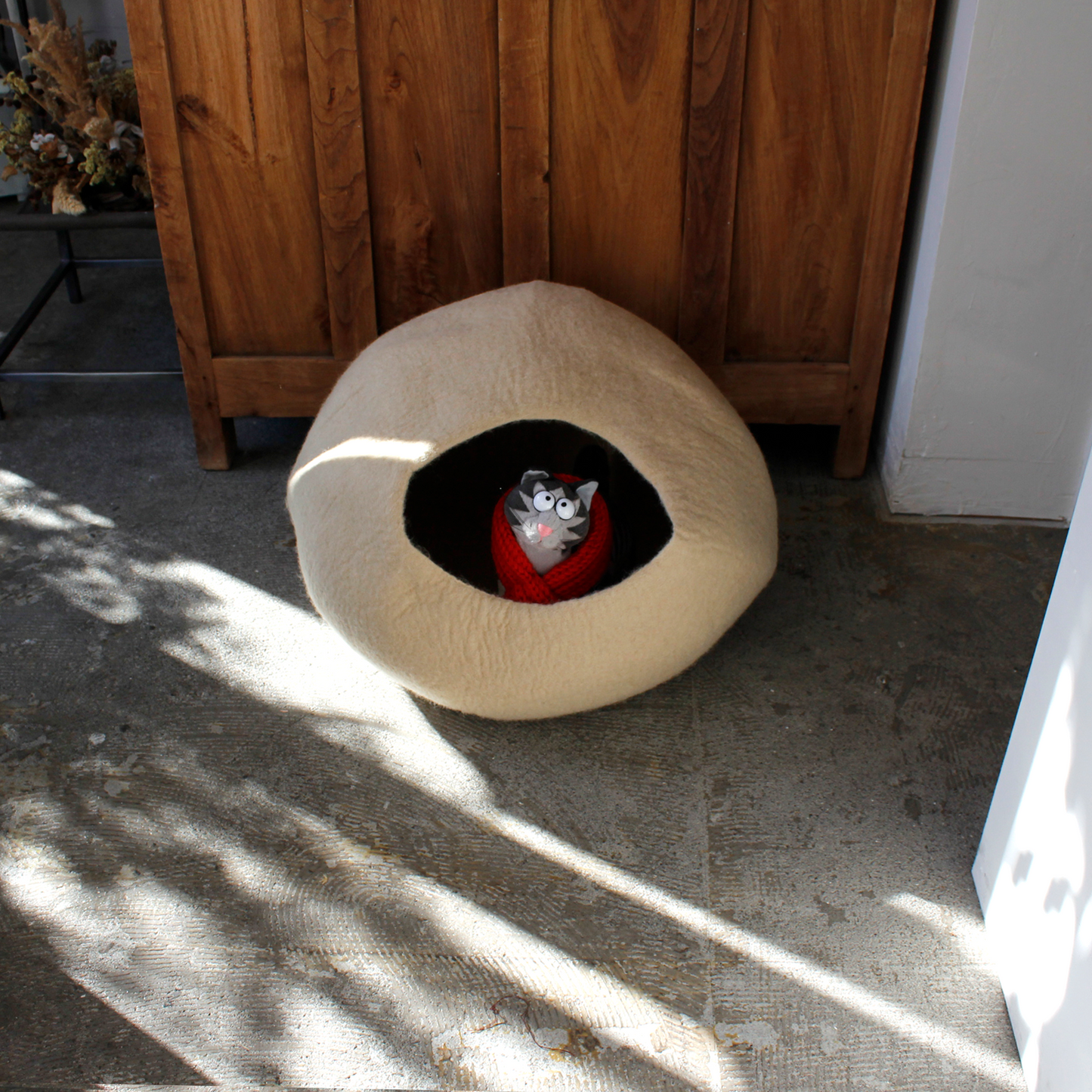 CAT DOME