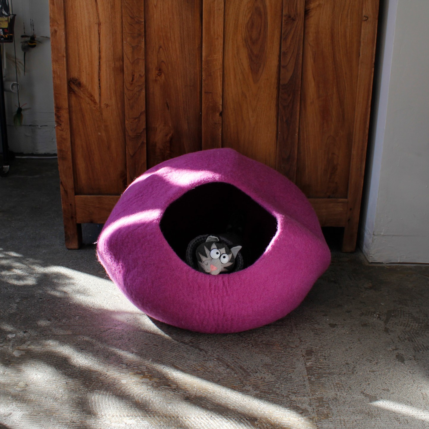 CAT DOME