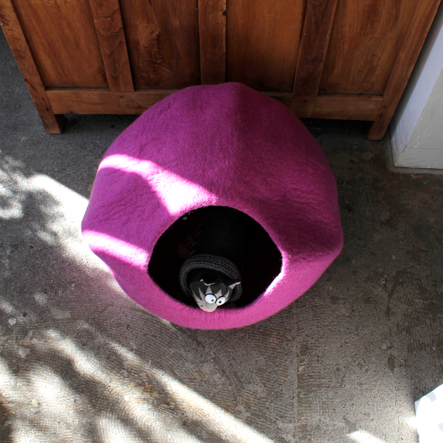 CAT DOME