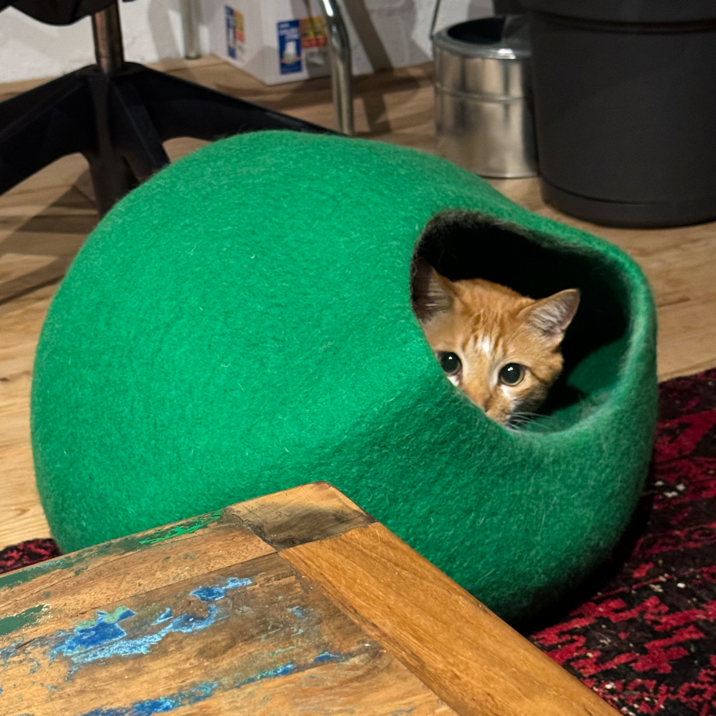 CAT DOME