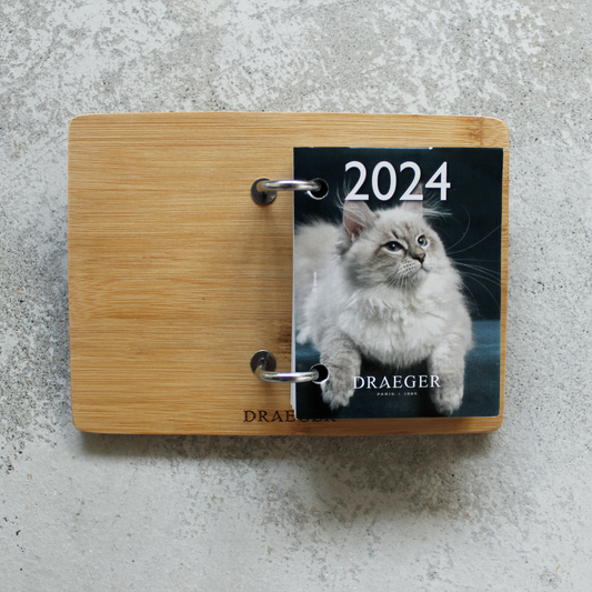 CATS 2024 Daily Calendar