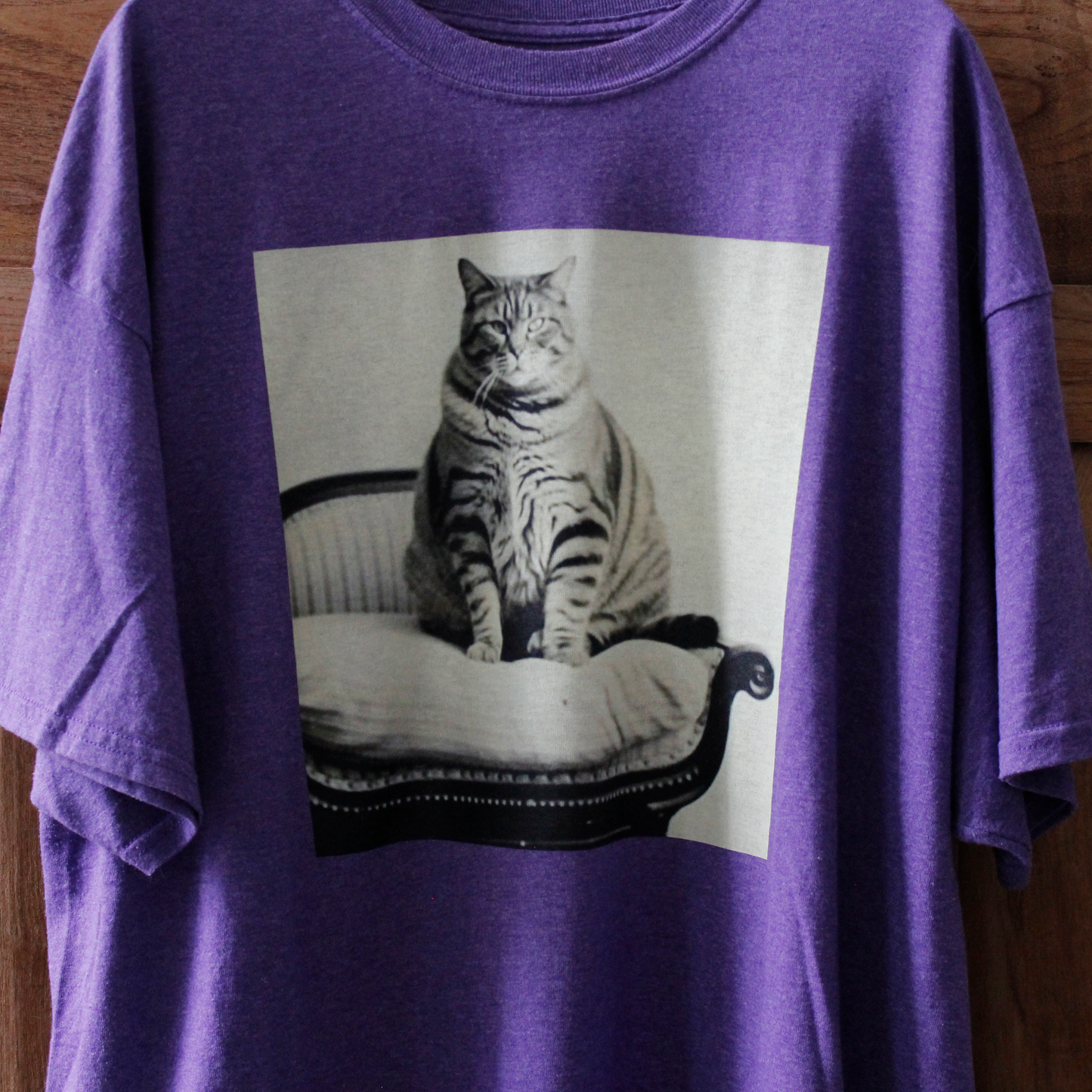 Fat Cat Photo Tee