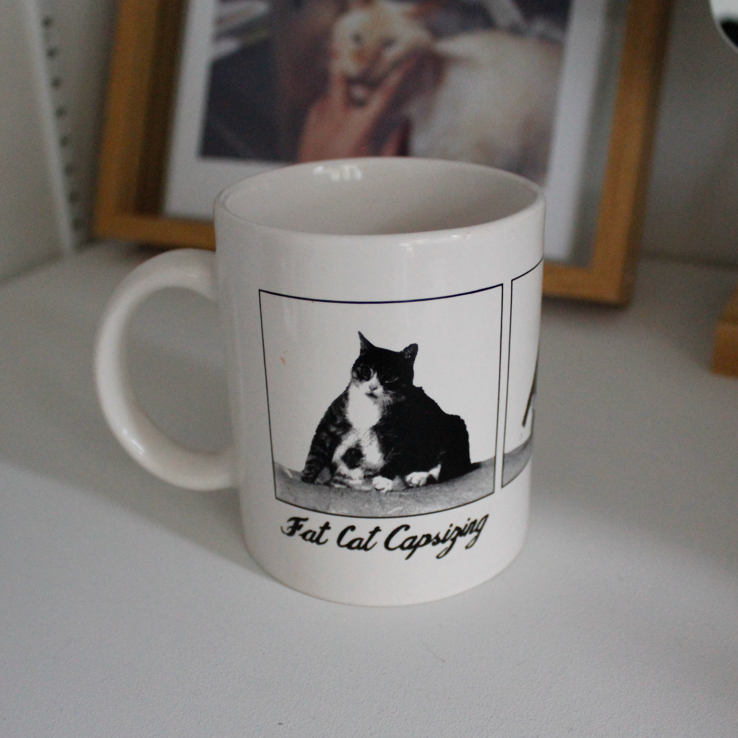 Fat Cat Capsizing Mug