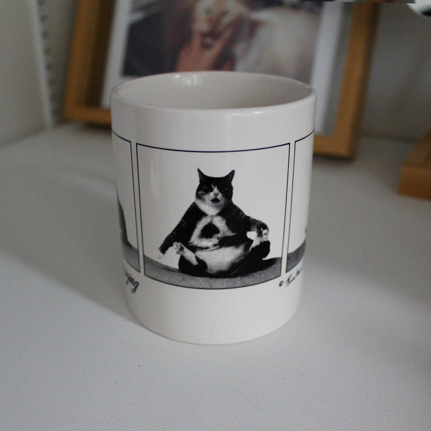 Fat Cat Capsizing Mug