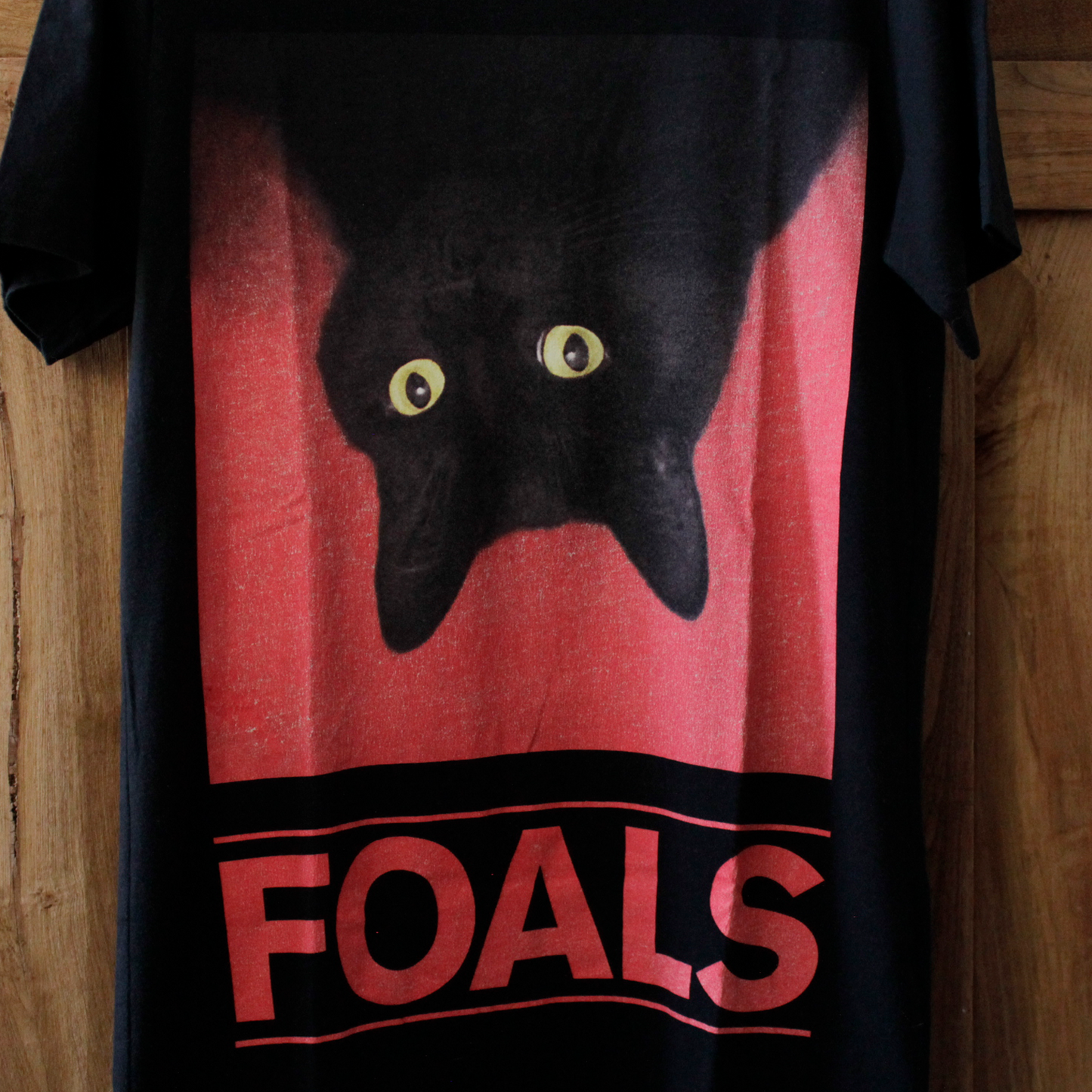 Pidge(Yannis's Cat ) Tee / S / FOALS