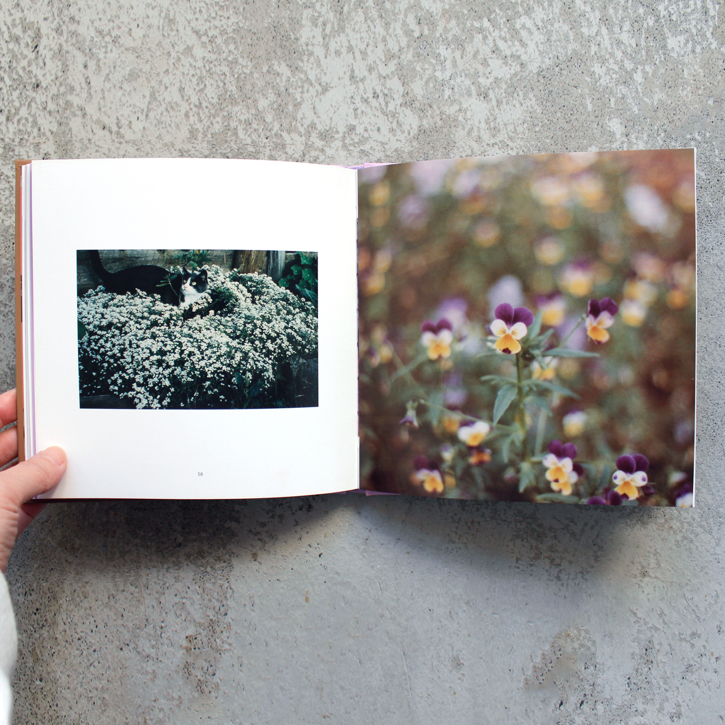 Forgotten Flowers Book