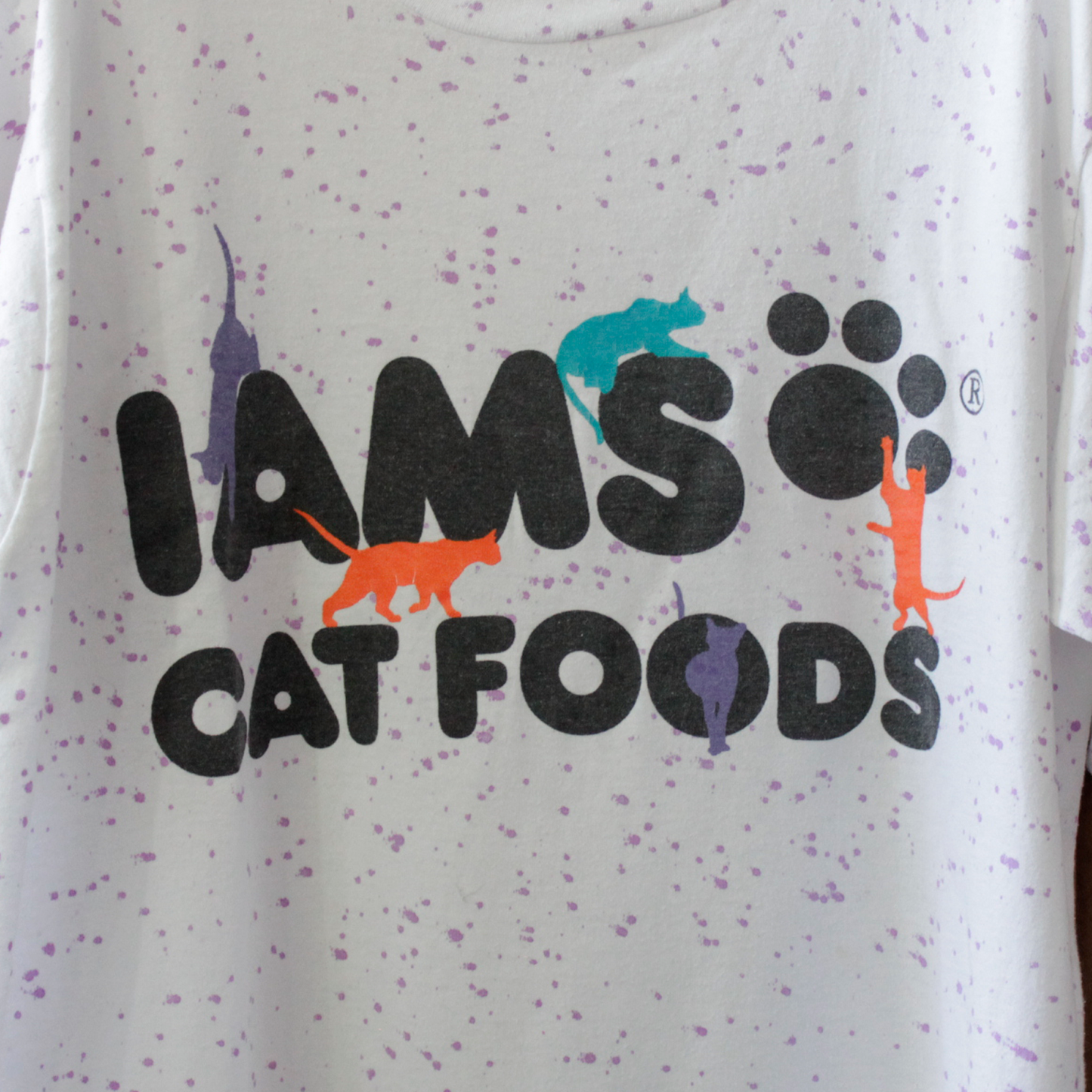 IAMS Painted Tee / 80s / Made in USA