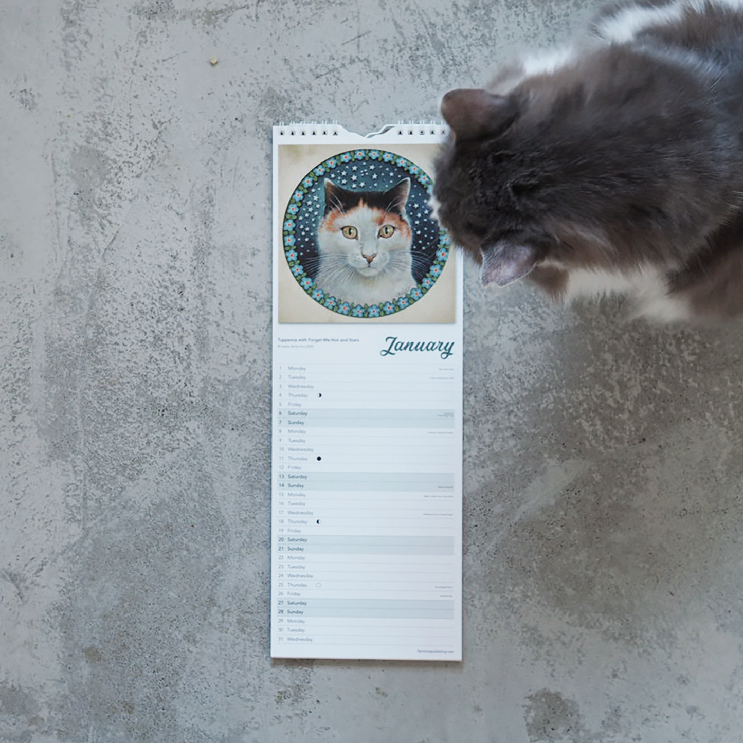 Ivory Cats Slim Calendar 2024