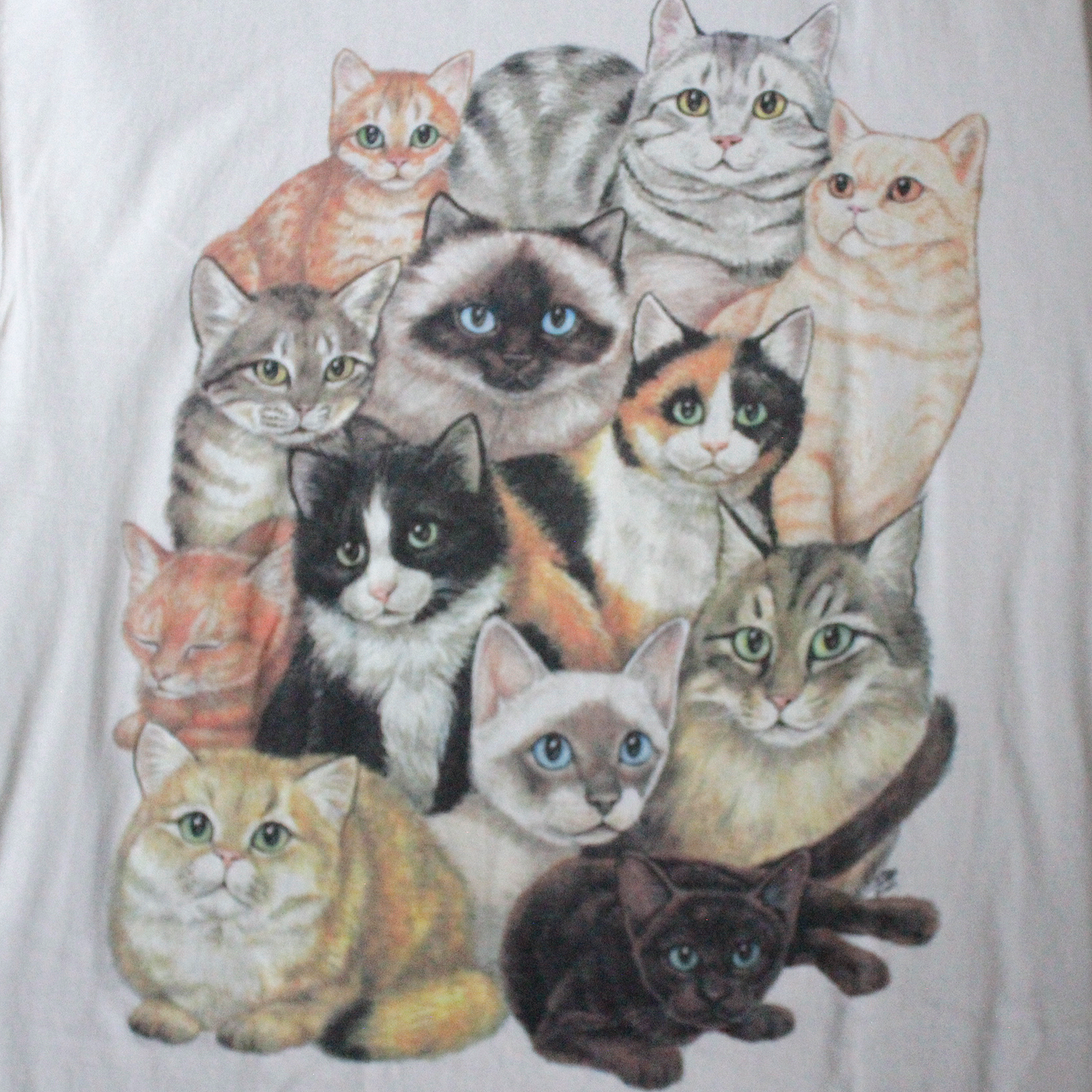 Katz Cats Tee / Made in USA