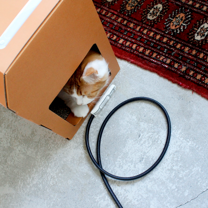 Guitar Cable Cat Toy