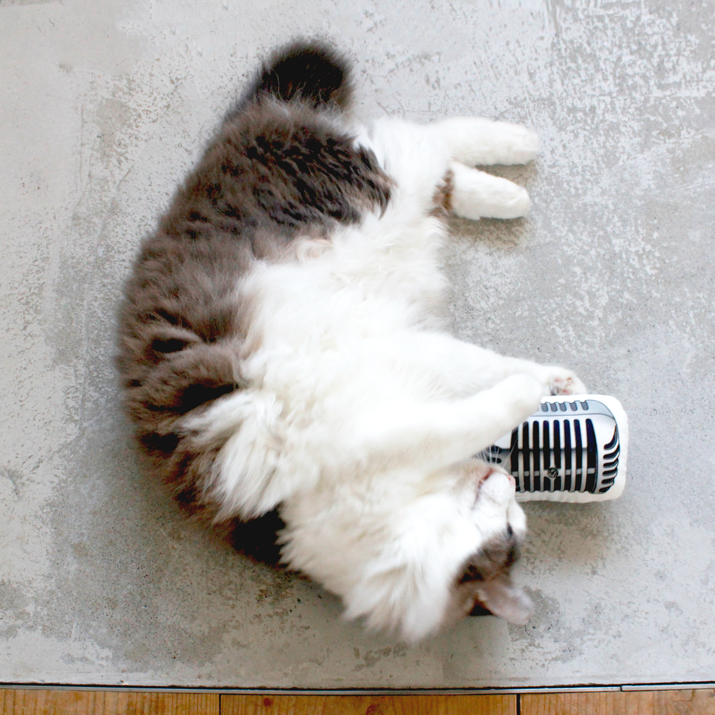 Microphone Cat Toy / SKELETON