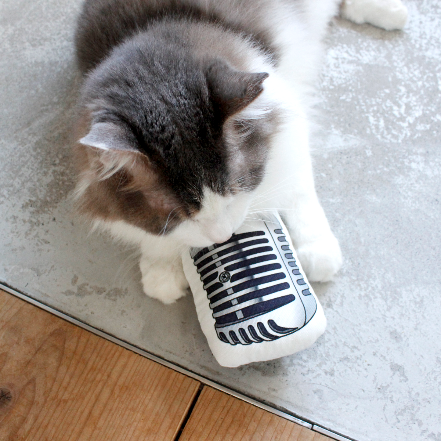 Microphone Cat Toy / SKELETON