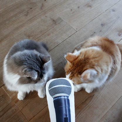 Microphone Cat Toy / VOCAL