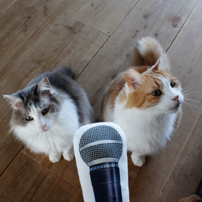 Microphone Cat Toy / VOCAL