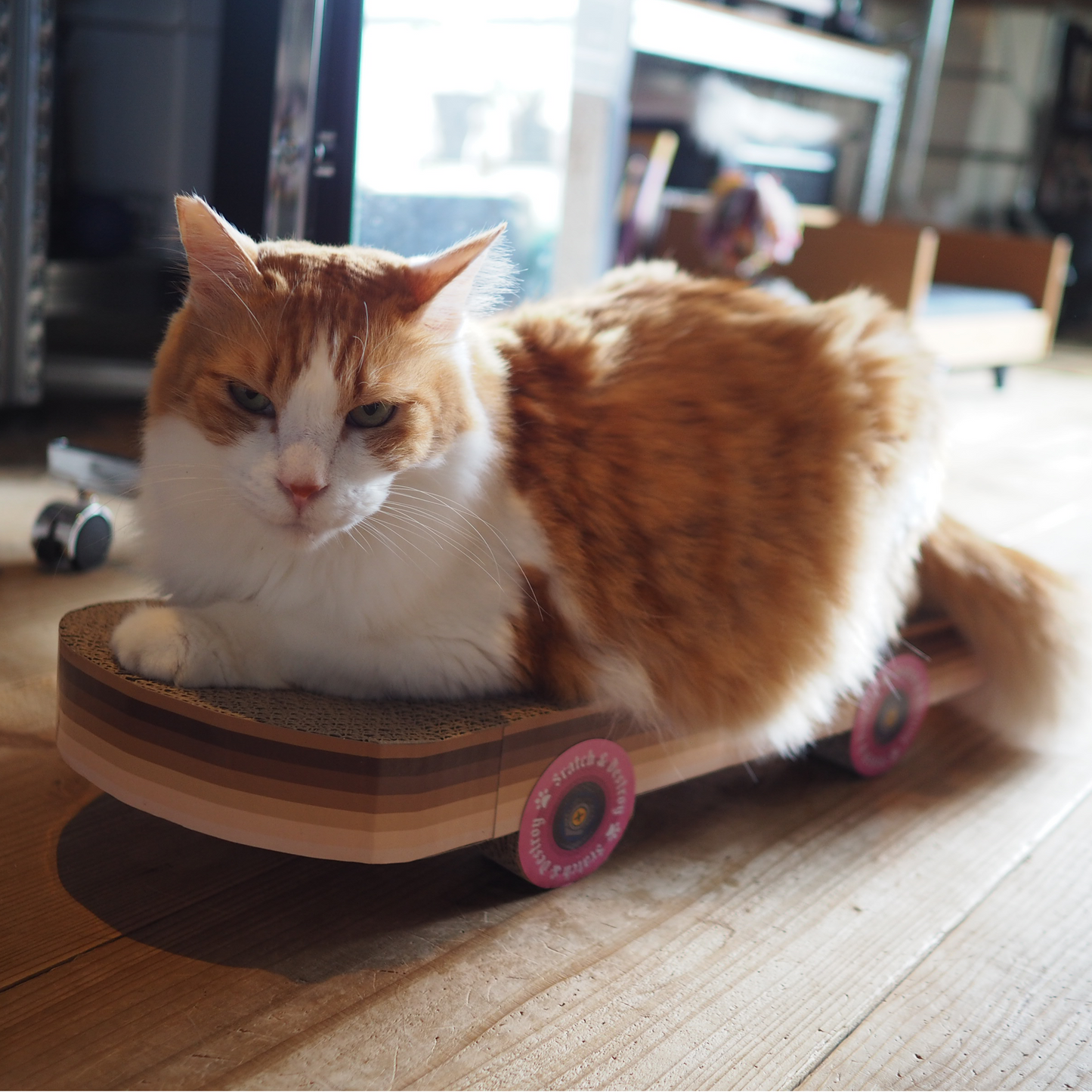 Cat Scratch Skateboard / SUCK UK